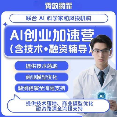 AI创业辅导营 技术融资双通道全流程训练